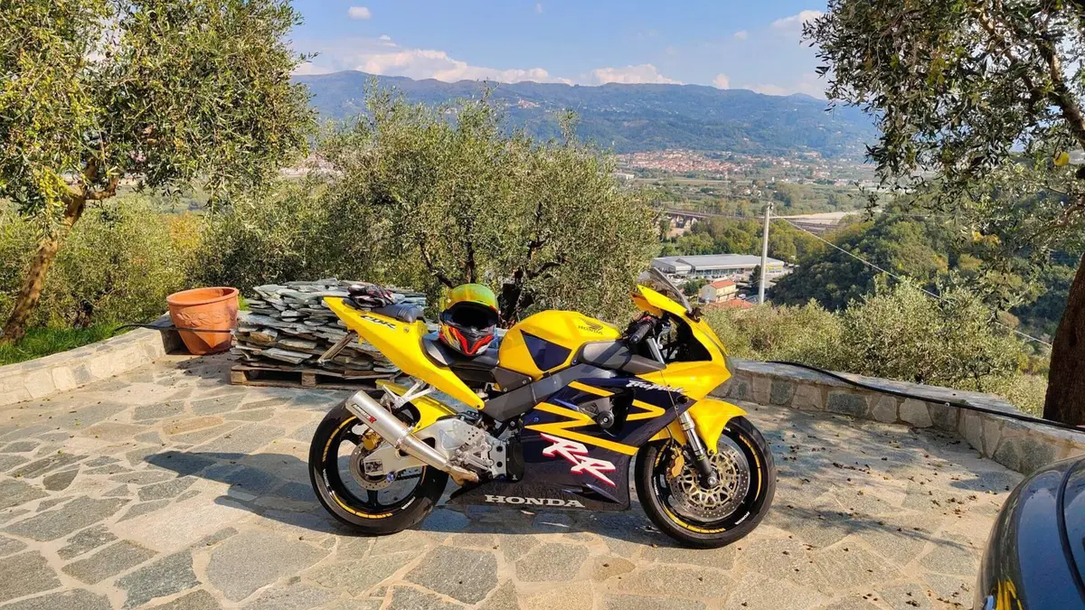 Honda CBR 900 RR Fireblade (2002 - 04)  (3)