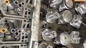 Honda   (7)