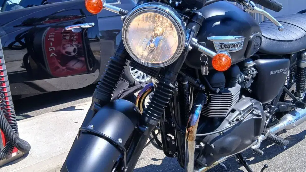 Triumph Bonneville T100 (2008 - 16)  (5)