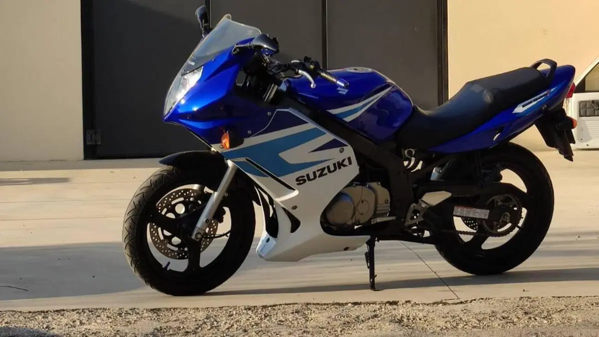 Suzuki GS 500 F (2004 - 06)  (4)