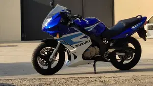 Suzuki GS 500 F (2004 - 06)  (4)