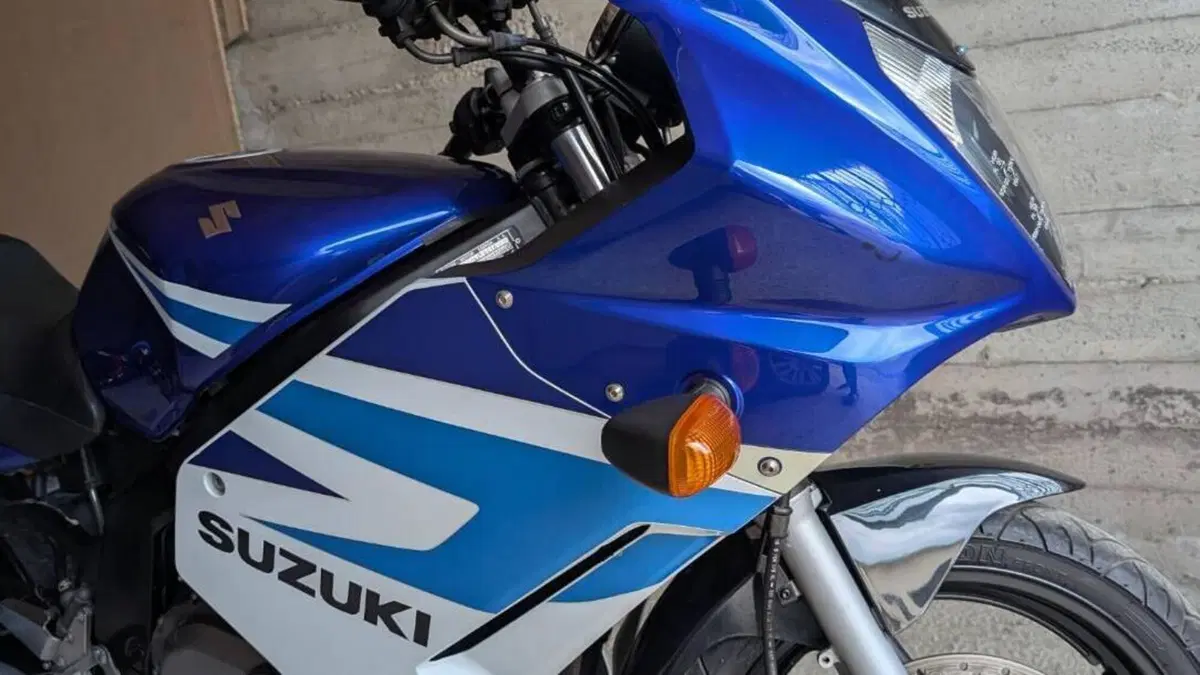 Suzuki GS 500 F (2004 - 06)  (8)