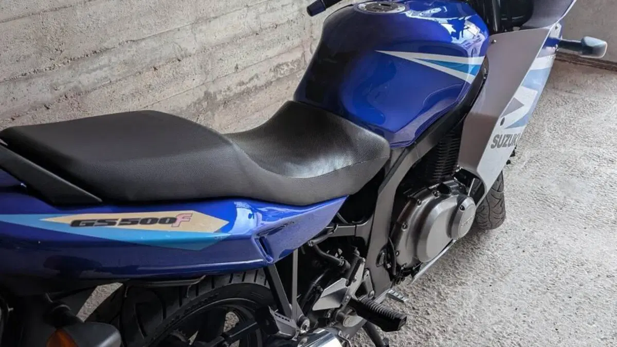 Suzuki GS 500 F (2004 - 06)  (9)