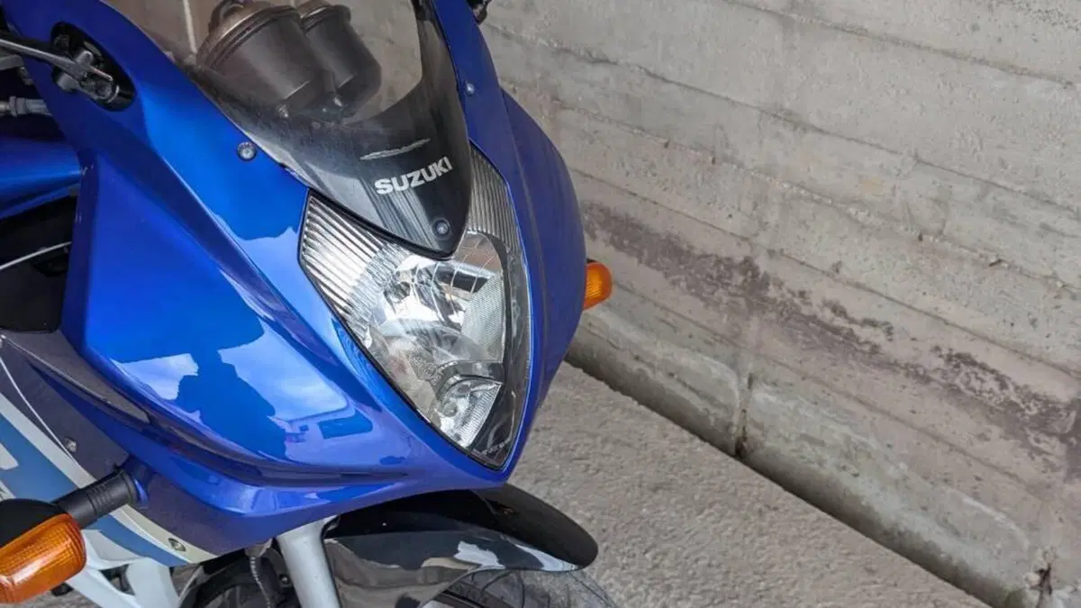 Suzuki GS 500 F (2004 - 06)  (14)