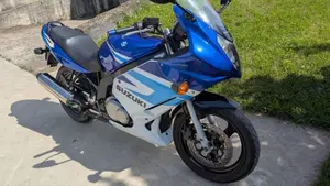 Suzuki GS 500 F (2004 - 06) 