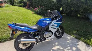Suzuki GS 500 F (2004 - 06)  (2)