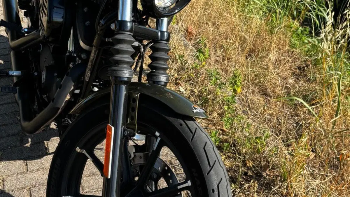 Harley-Davidson 883 Iron (2014 - 16) - XL 883N  (4)