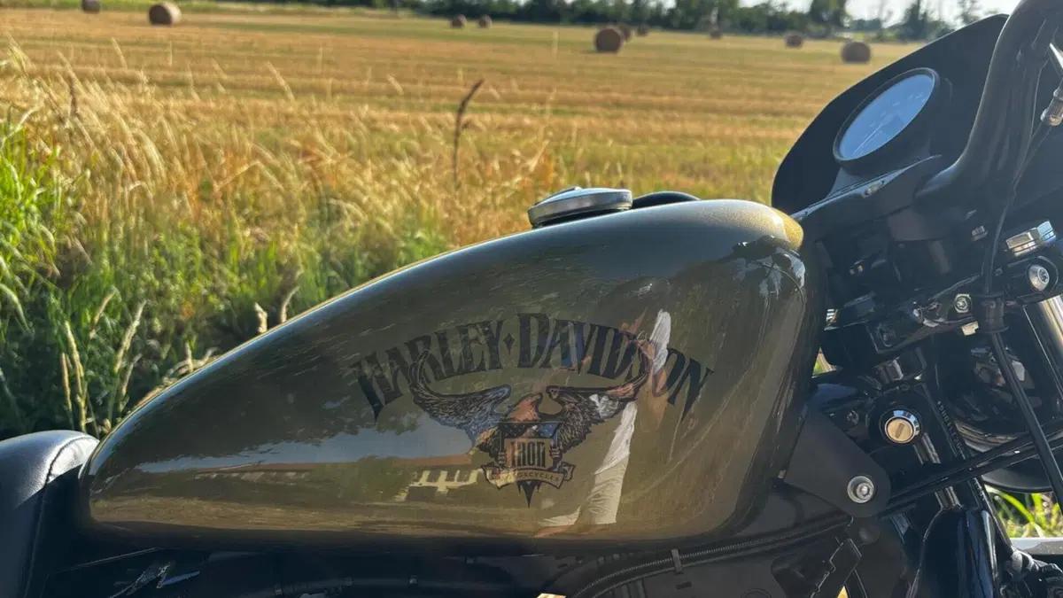Harley-Davidson 883 Iron (2014 - 16) - XL 883N  (8)