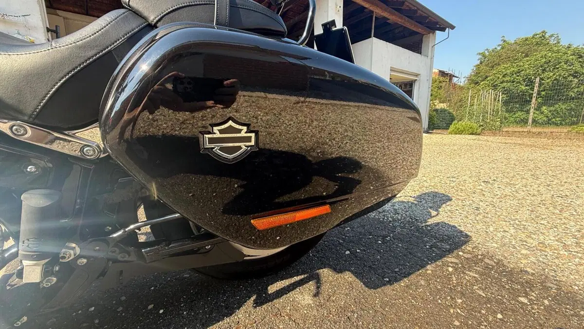Harley-Davidson 107 Sport Glide (2018 - 20)  (5)