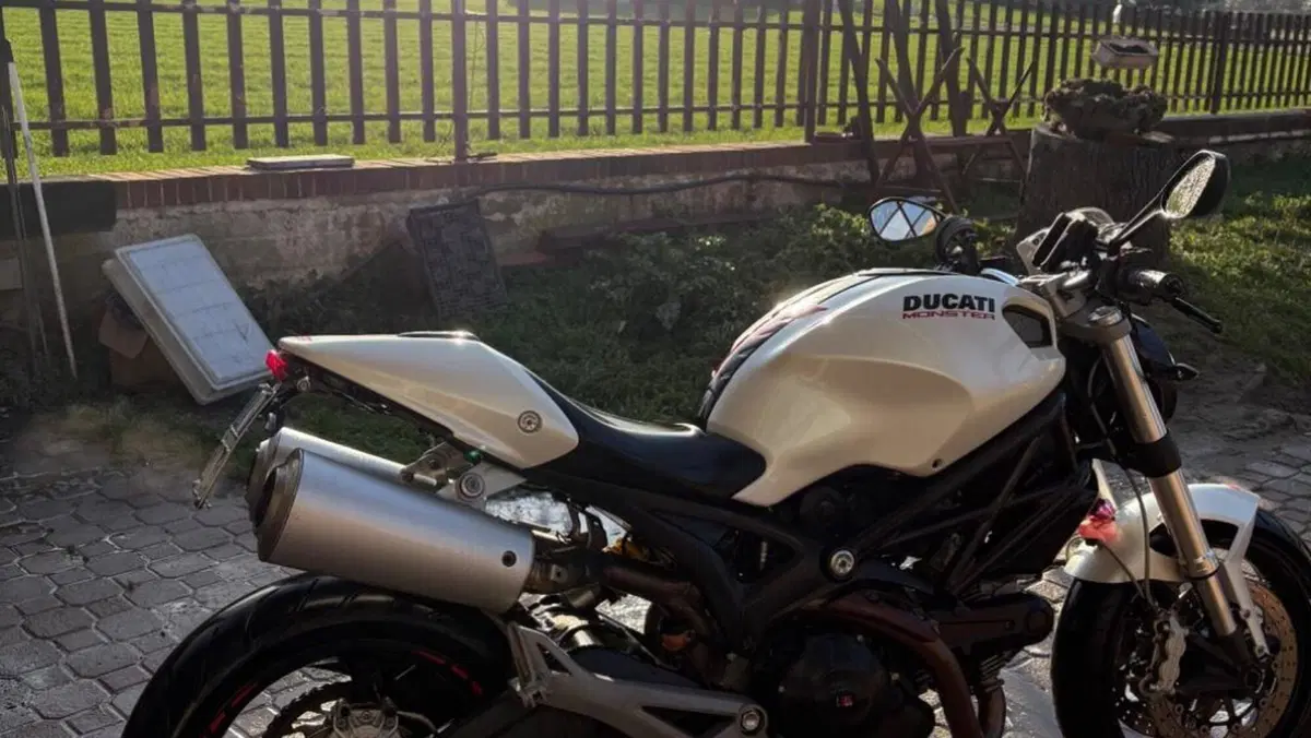 Ducati Monster 696 (2008 - 13)  (4)