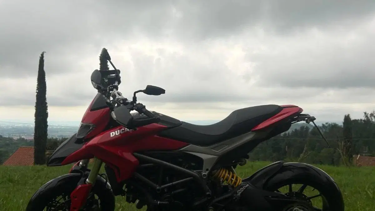 Ducati Hypermotard 821 (2013 - 15)  (7)