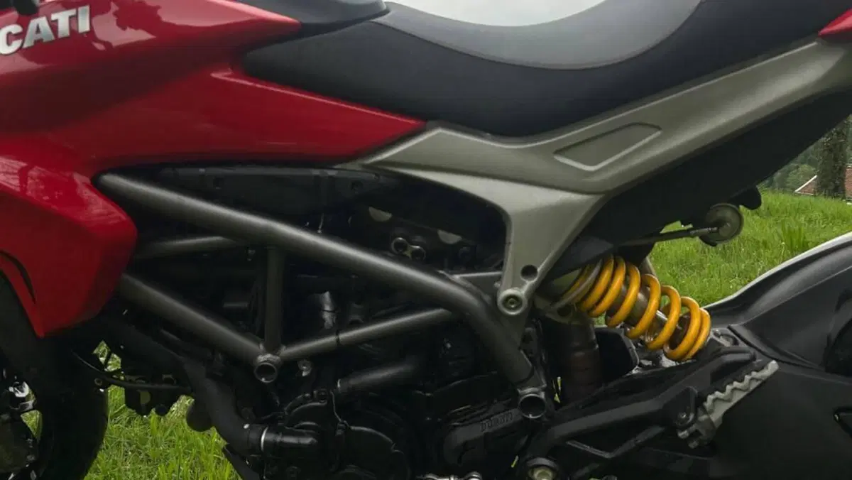 Ducati Hypermotard 821 (2013 - 15)  (11)