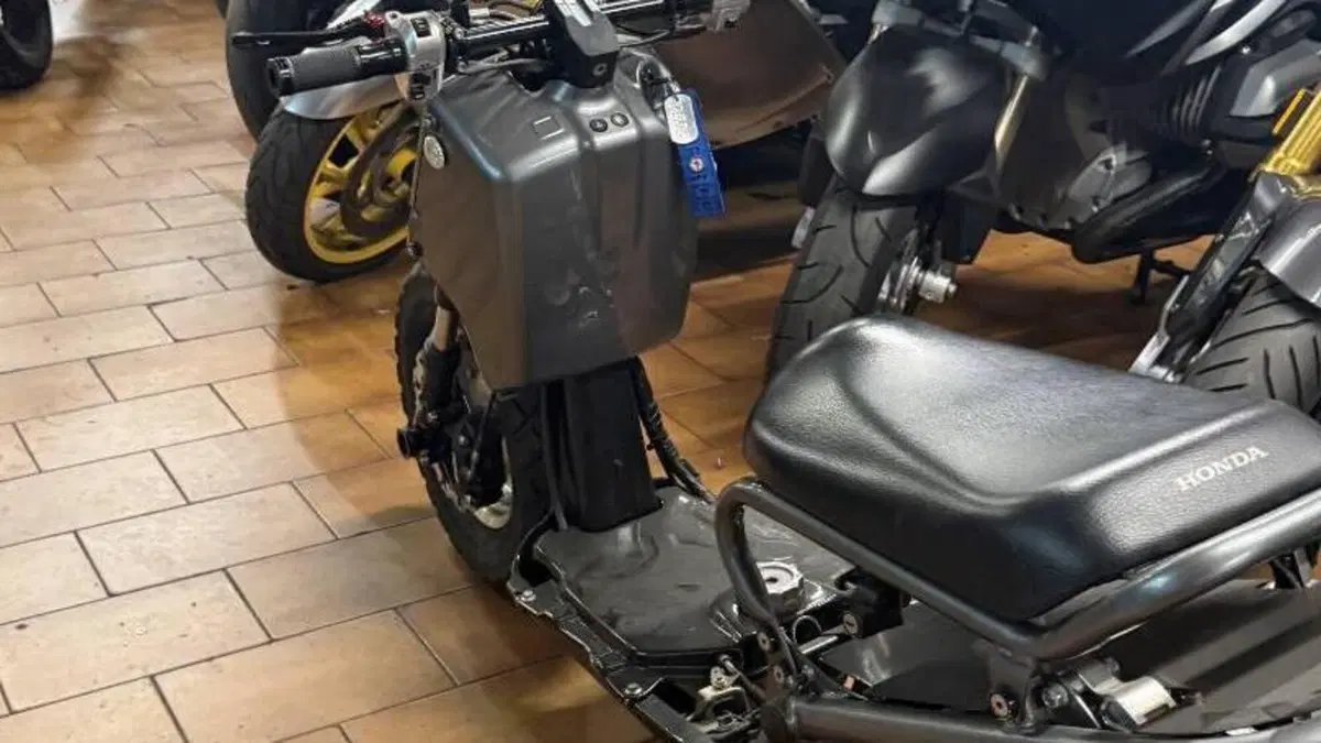 Honda Zoomer  (2)