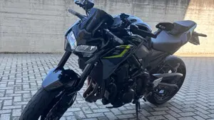 Kawasaki Z 900 (2021 - 24)  (2)