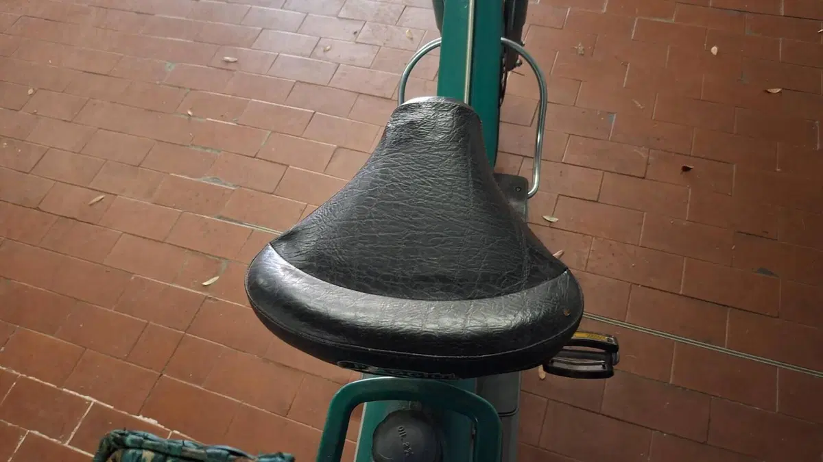 Piaggio   (4)