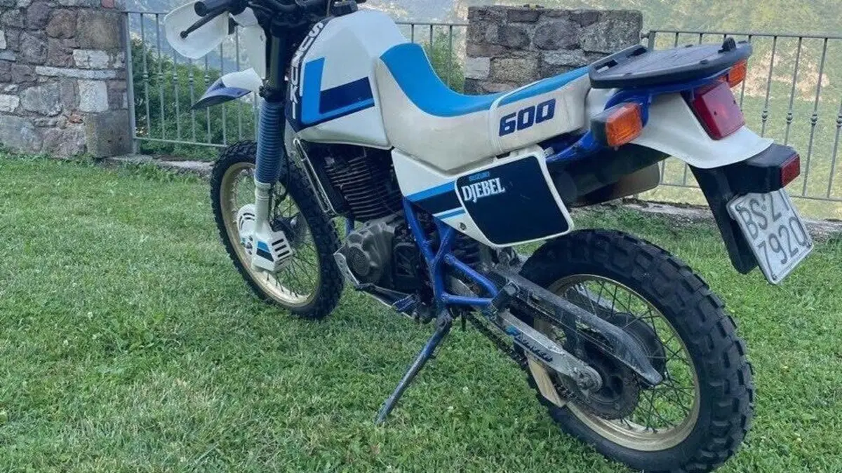 Suzuki   (2)