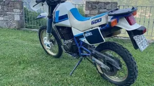 Suzuki   (2)