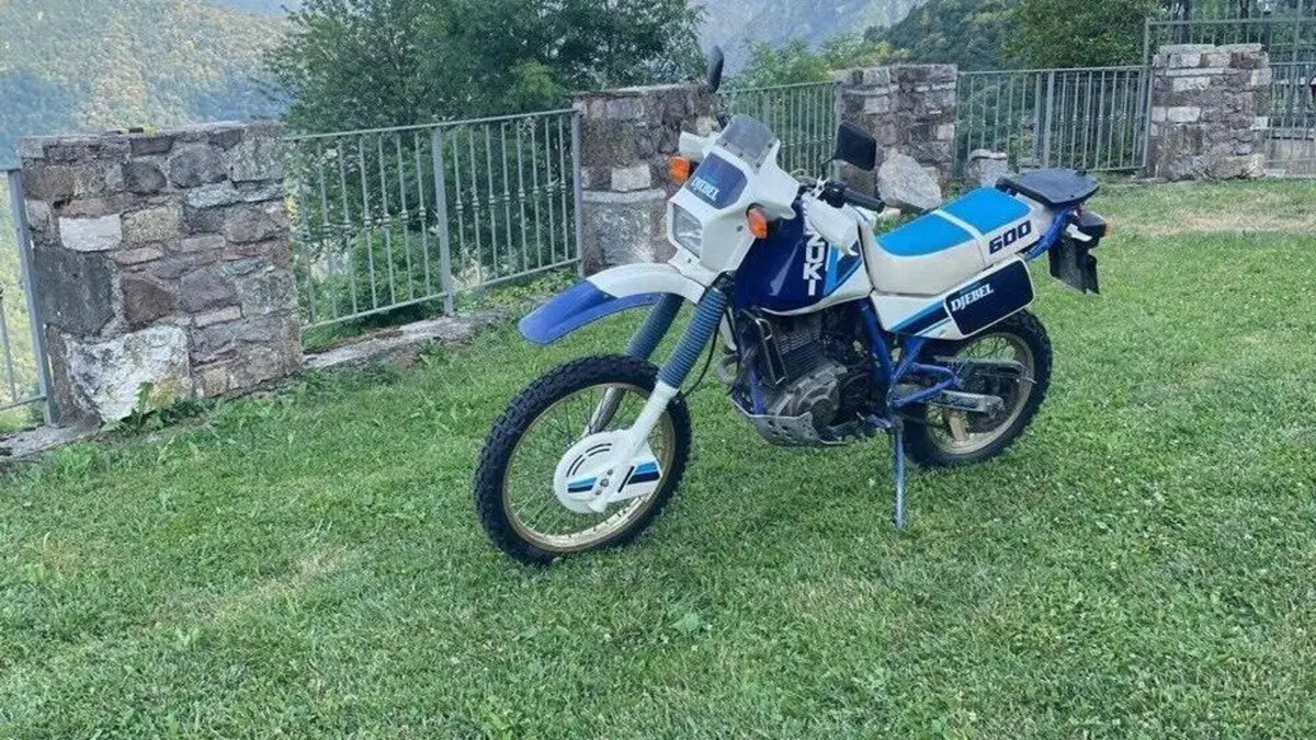 Suzuki   (3)