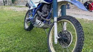 Suzuki   (5)