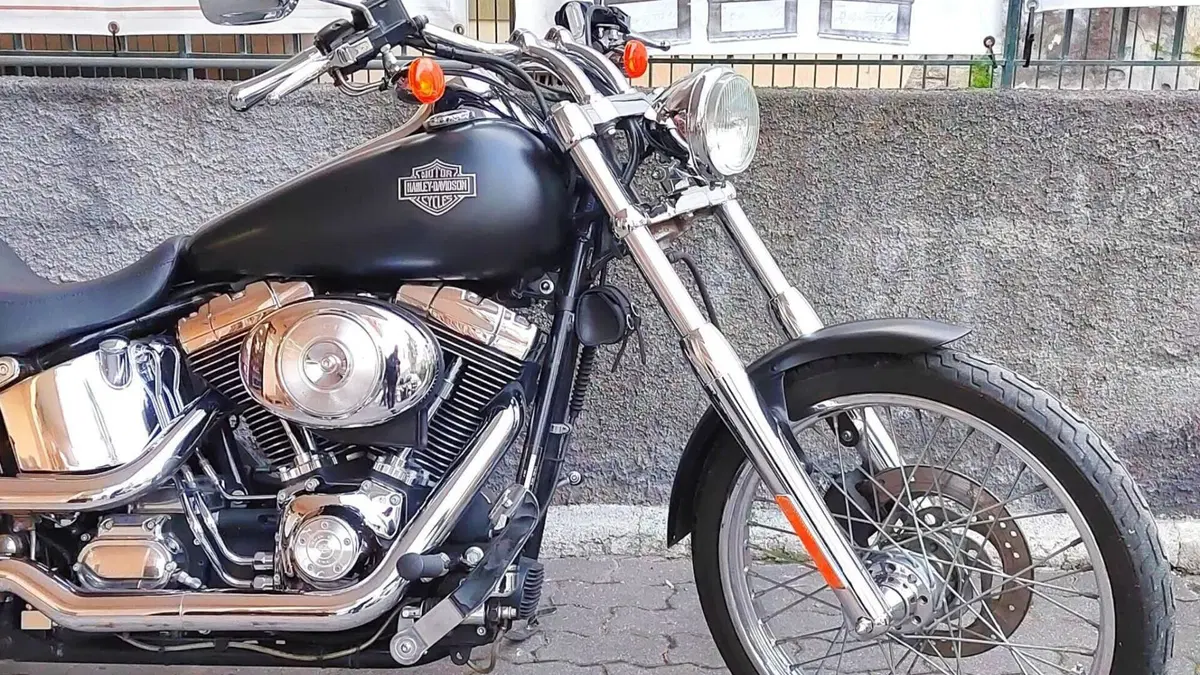 Harley-Davidson 1450 Standard (1999 - 01) - FXSTS  (3)