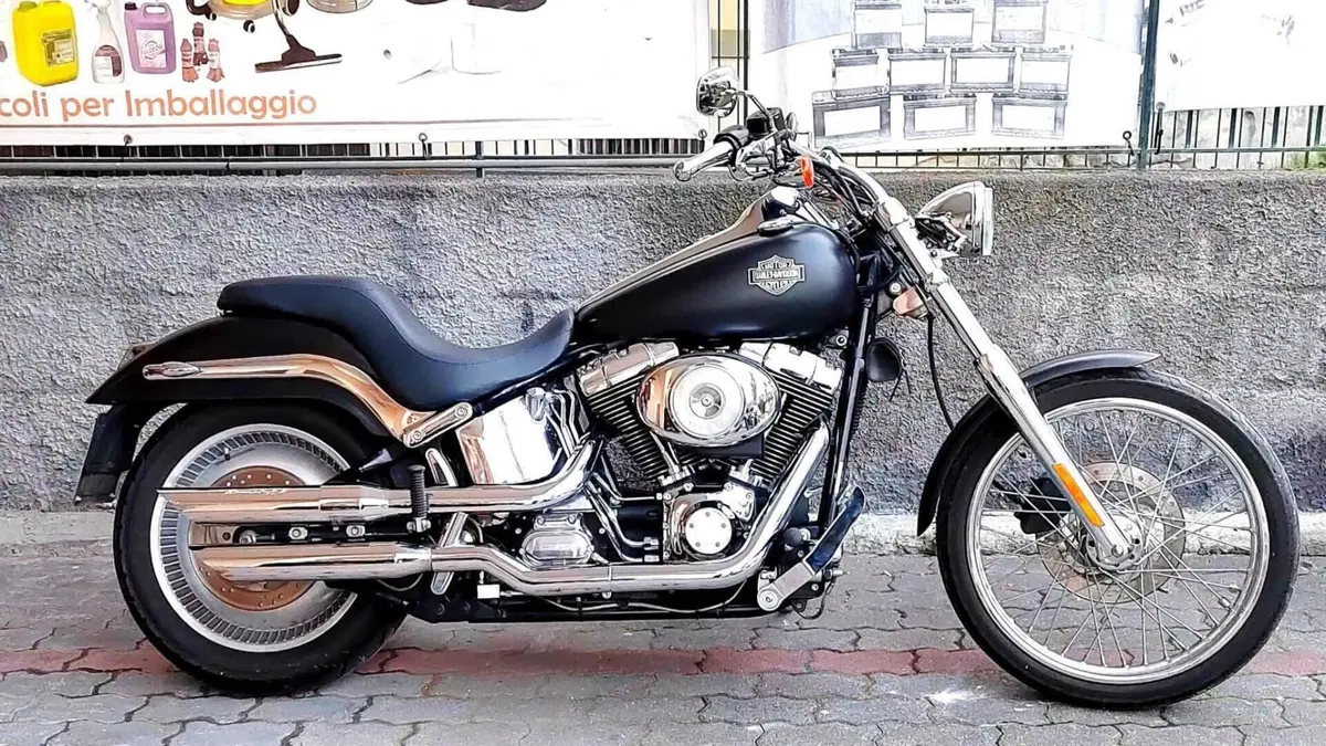Harley-Davidson 1450 Standard (1999 - 01) - FXSTS  (4)