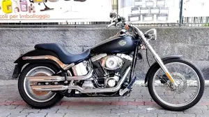 Harley-Davidson 1450 Standard (1999 - 01) - FXSTS  (4)