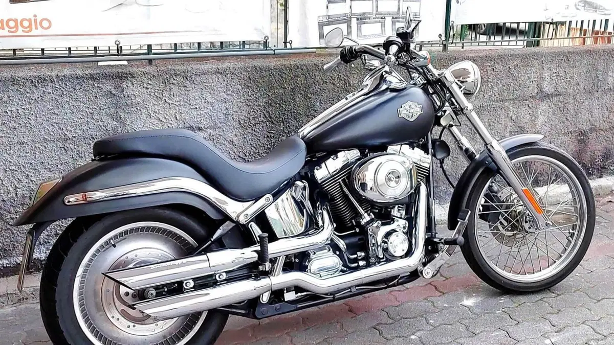 Harley-Davidson 1450 Standard (1999 - 01) - FXSTS  (7)