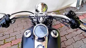 Harley-Davidson 1450 Standard (1999 - 01) - FXSTS  (9)
