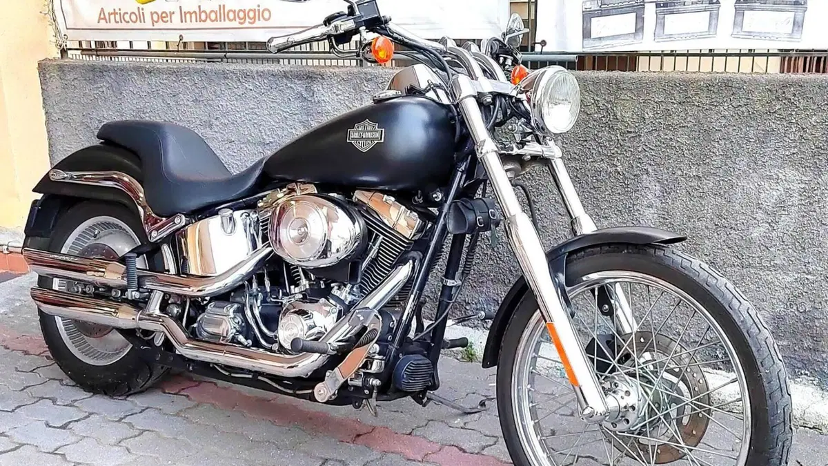 Harley-Davidson 1450 Standard (1999 - 01) - FXSTS  (10)
