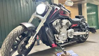 Harley-Davidson 1250 V-Rod Muscle (2009 - 17) - VRSCF usata