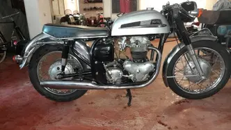 Norton 