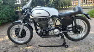 Norton   (3)