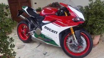 Ducati 1299 Panigale R Final Edition (2017 - 20) usata