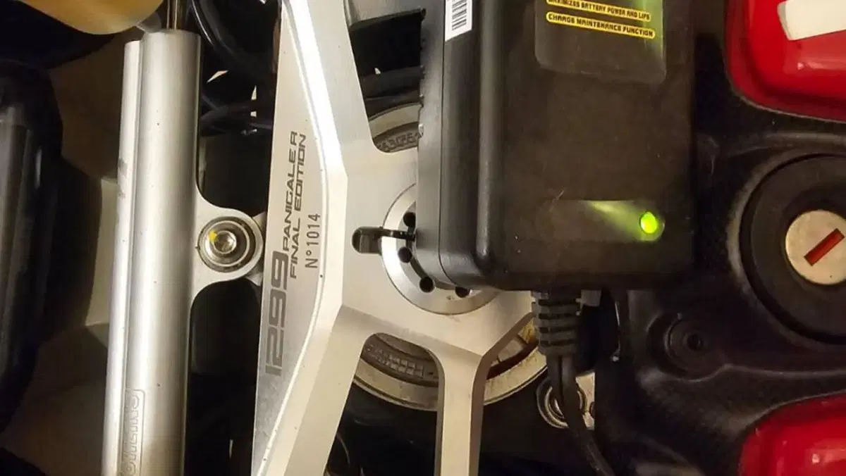Ducati 1299 Panigale R Final Edition (2017 - 20)  (3)