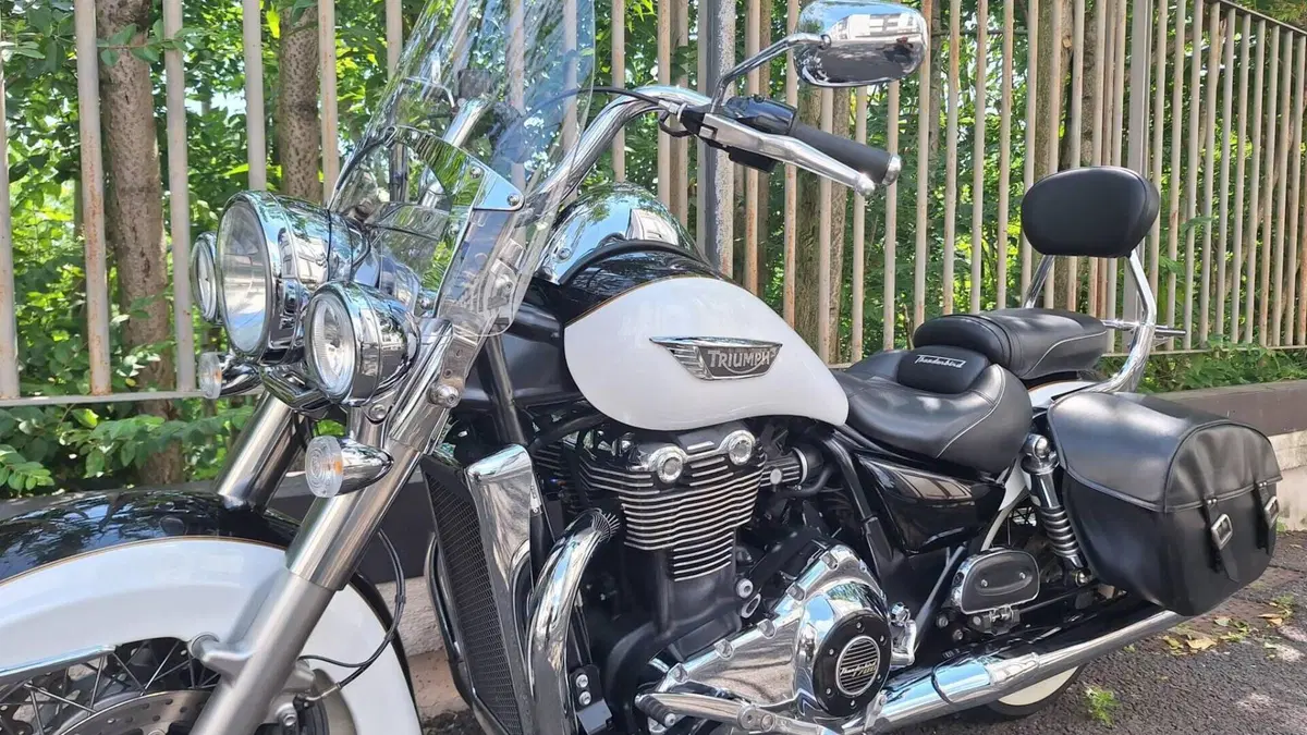 Triumph Thunderbird LT ABS (2014 - 15)  (6)