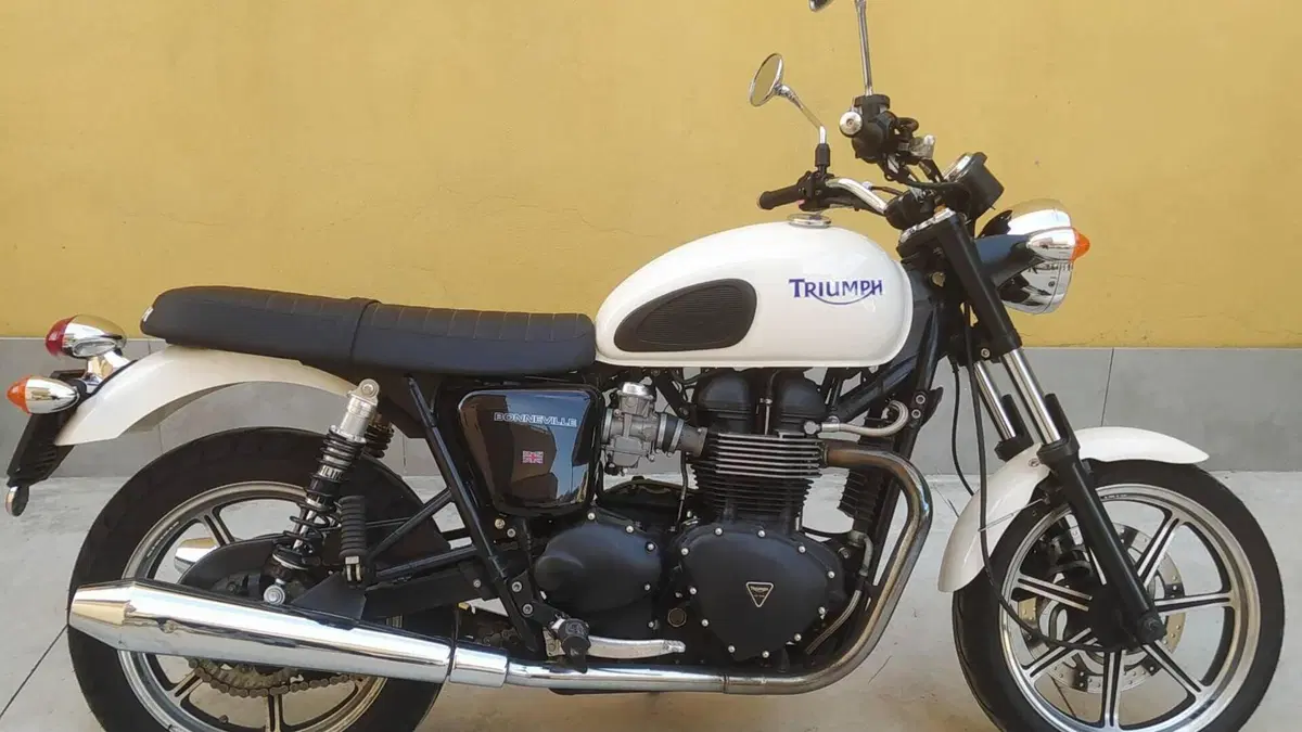 Triumph Bonneville T100 (2008 - 16)  (4)