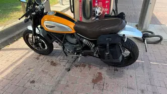 Ducati Scrambler 800 Classic (2015 - 16) usata