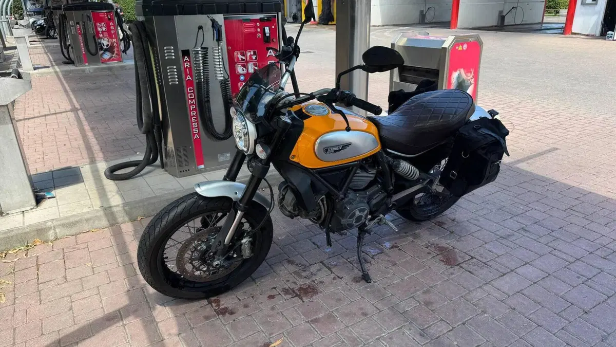 Ducati Scrambler 800 Classic (2015 - 16)  (3)