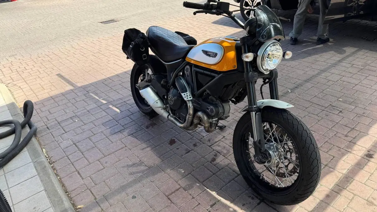 Ducati Scrambler 800 Classic (2015 - 16)  (4)