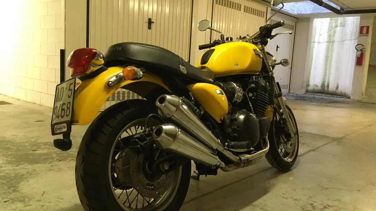 Triumph   (2)