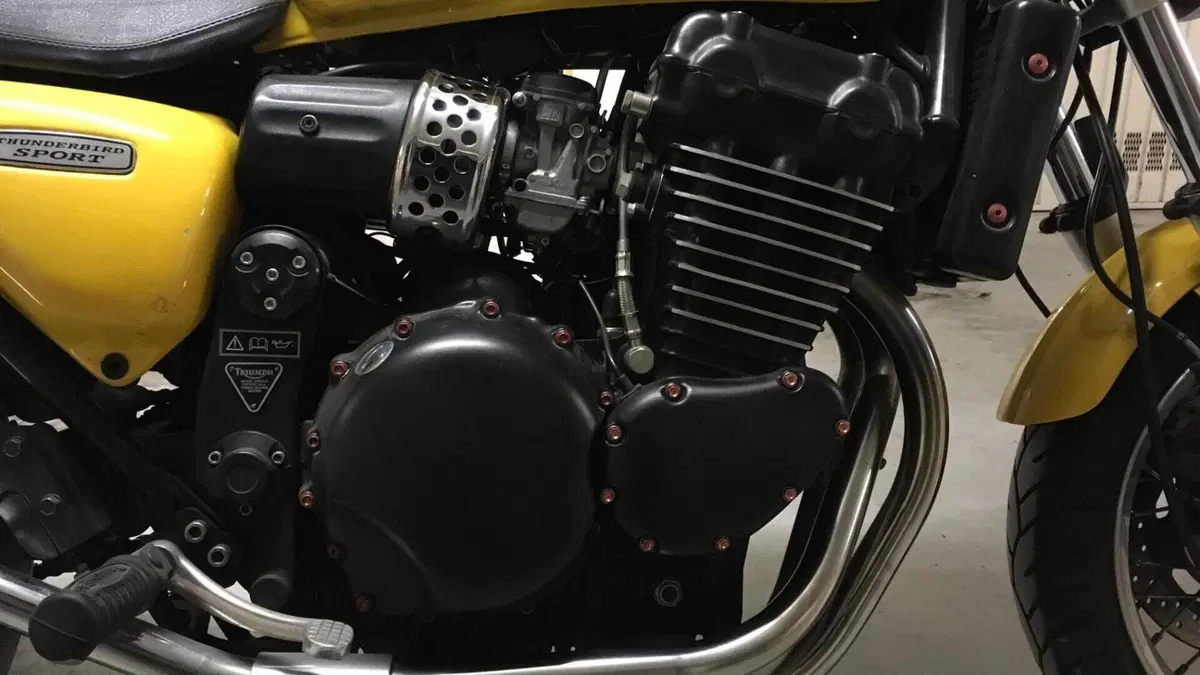 Triumph   (3)
