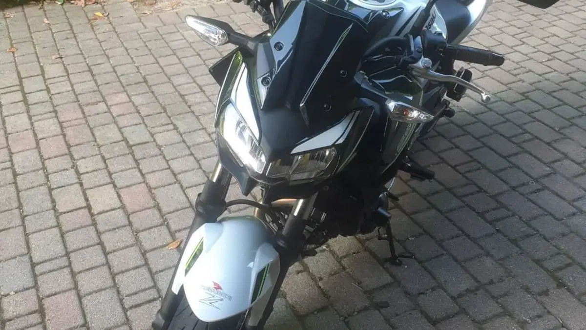 Kawasaki Z 650 (2020) 