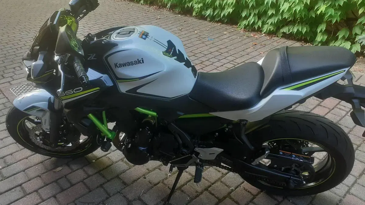 Kawasaki Z 650 (2020)  (3)