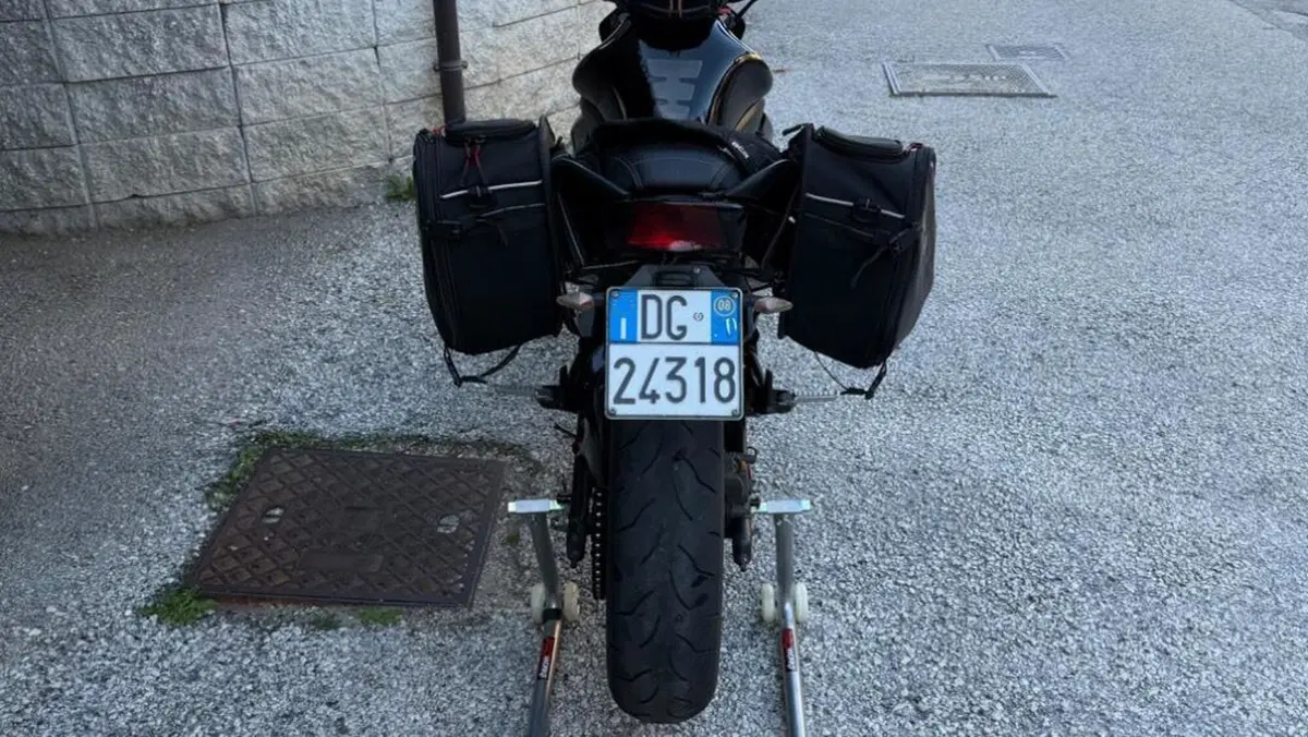 Kawasaki ER-6N (2005 - 08)  (5)
