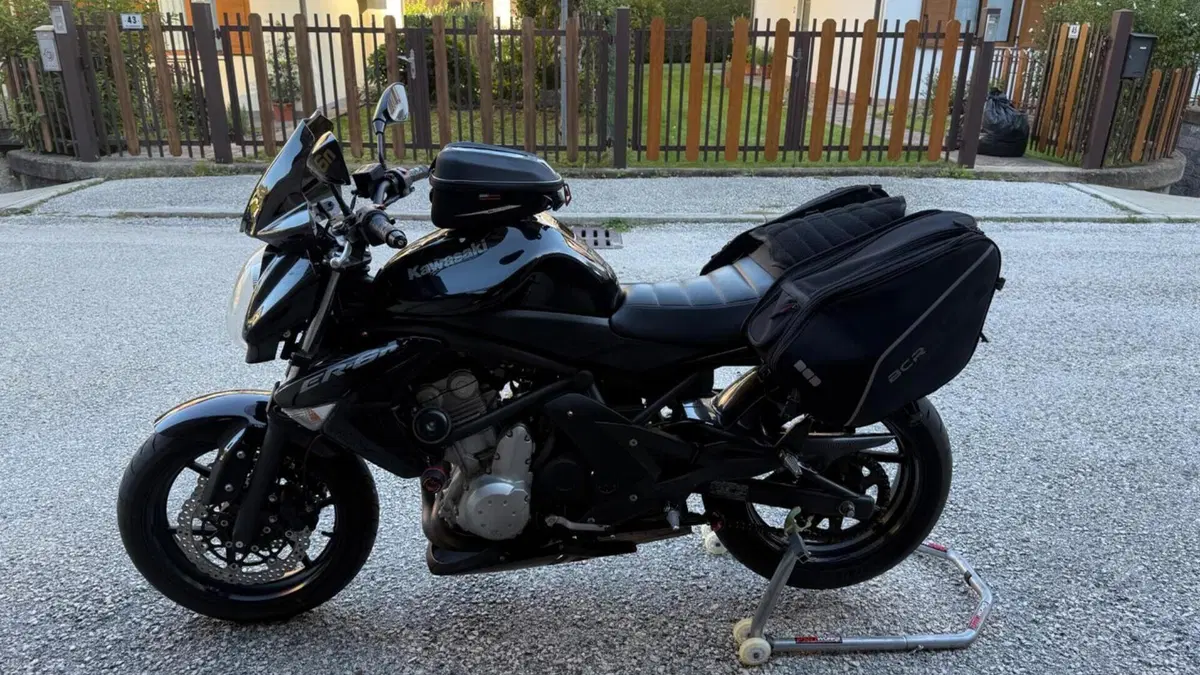 Kawasaki ER-6N (2005 - 08)  (6)