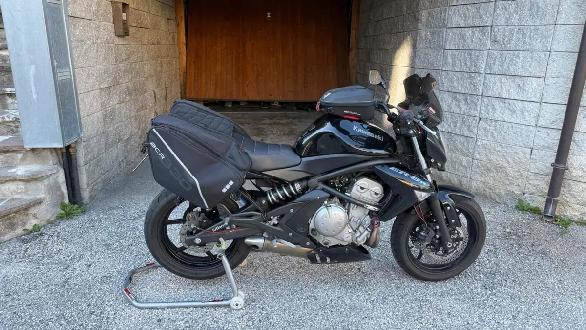 Kawasaki ER-6N (2005 - 08)  (3)