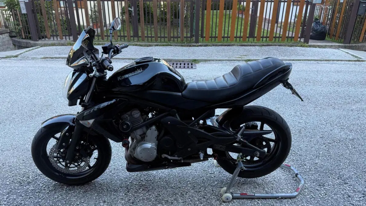 Kawasaki ER-6N (2005 - 08)  (7)