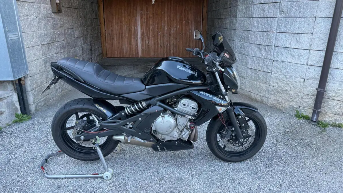 Kawasaki ER-6N (2005 - 08)  (8)