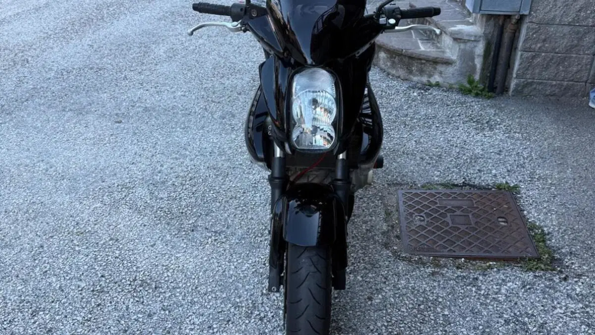Kawasaki ER-6N (2005 - 08)  (2)