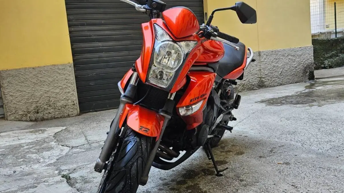 Kawasaki ER-6N (2009 - 11)  (2)